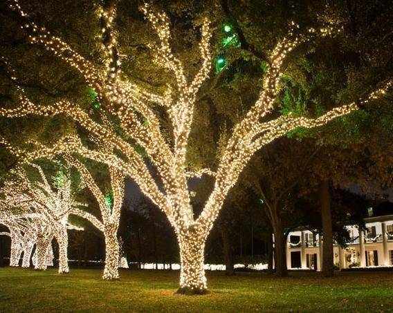 Как красиво украсить дерево световой гирляндой Как красиво украсить дерево световой гирляндой