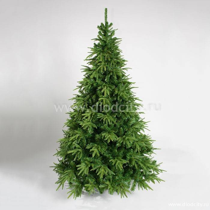 Ель Форесто