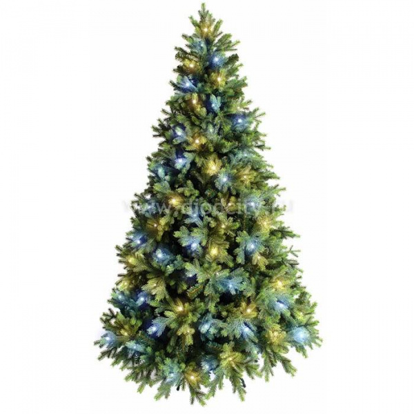 Ель световая Грацио