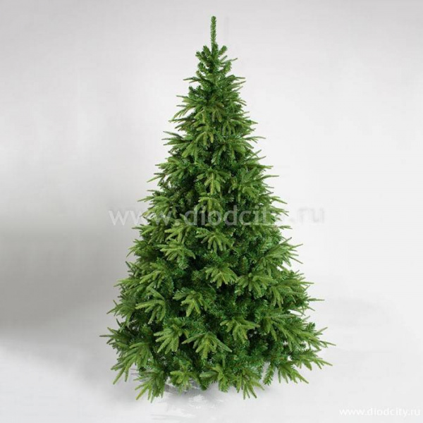 Ель Форесто