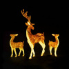 Световые акриловые фигуры "Пара благородных оленей"