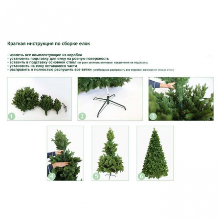 Ель Грацио с ягодами