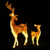 Световые акриловые фигуры "Пара благородных оленей"